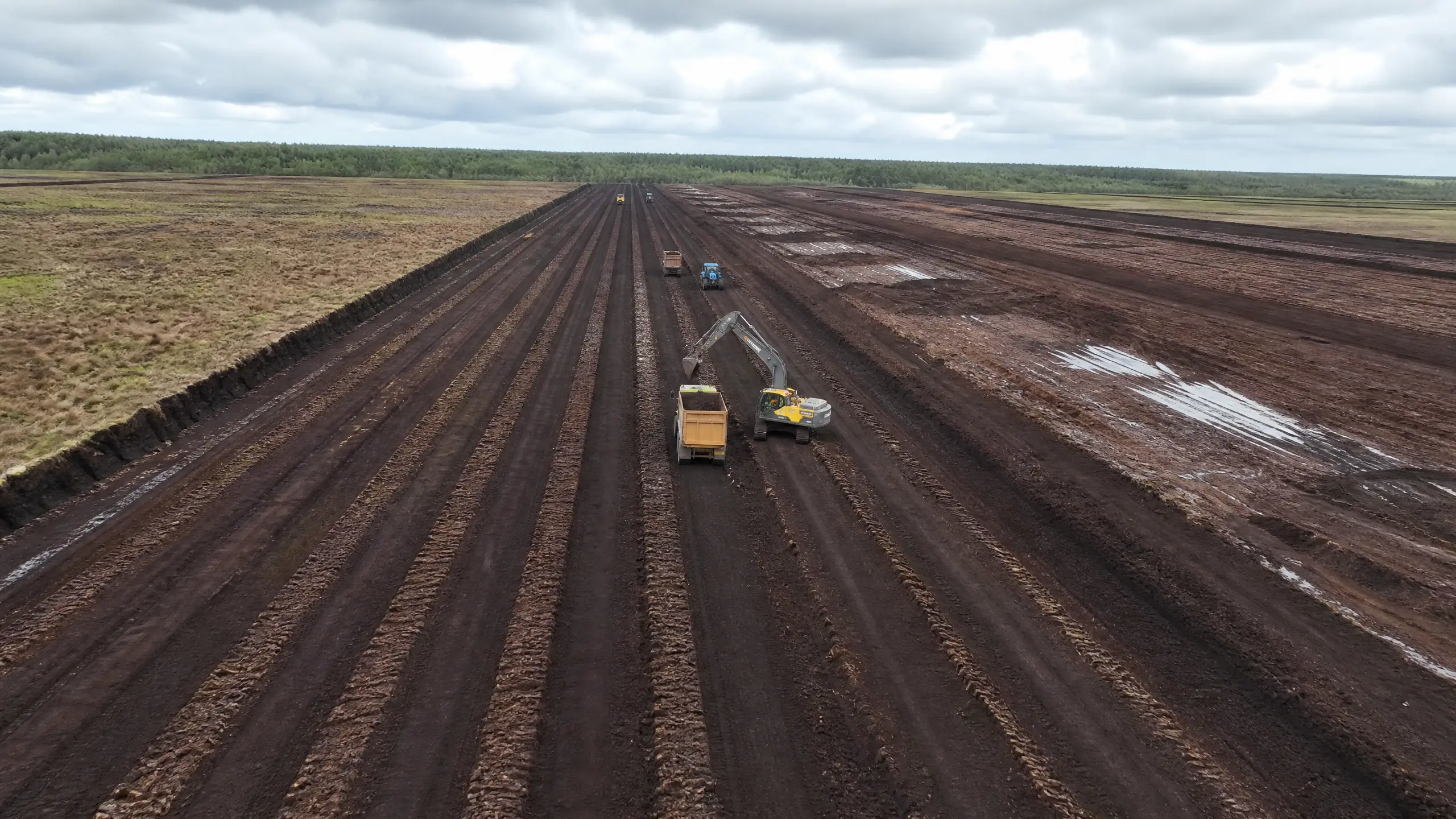 An excavator working a drained peat field, harvested peat in long ridges